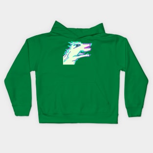 D-Zilla Kids Hoodie